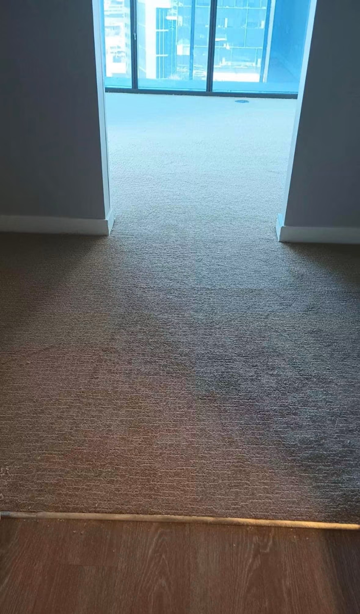 Newly installed residential carpet